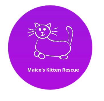 Maico’s Kitten Rescue