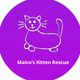 Maico’s Kitten Rescue