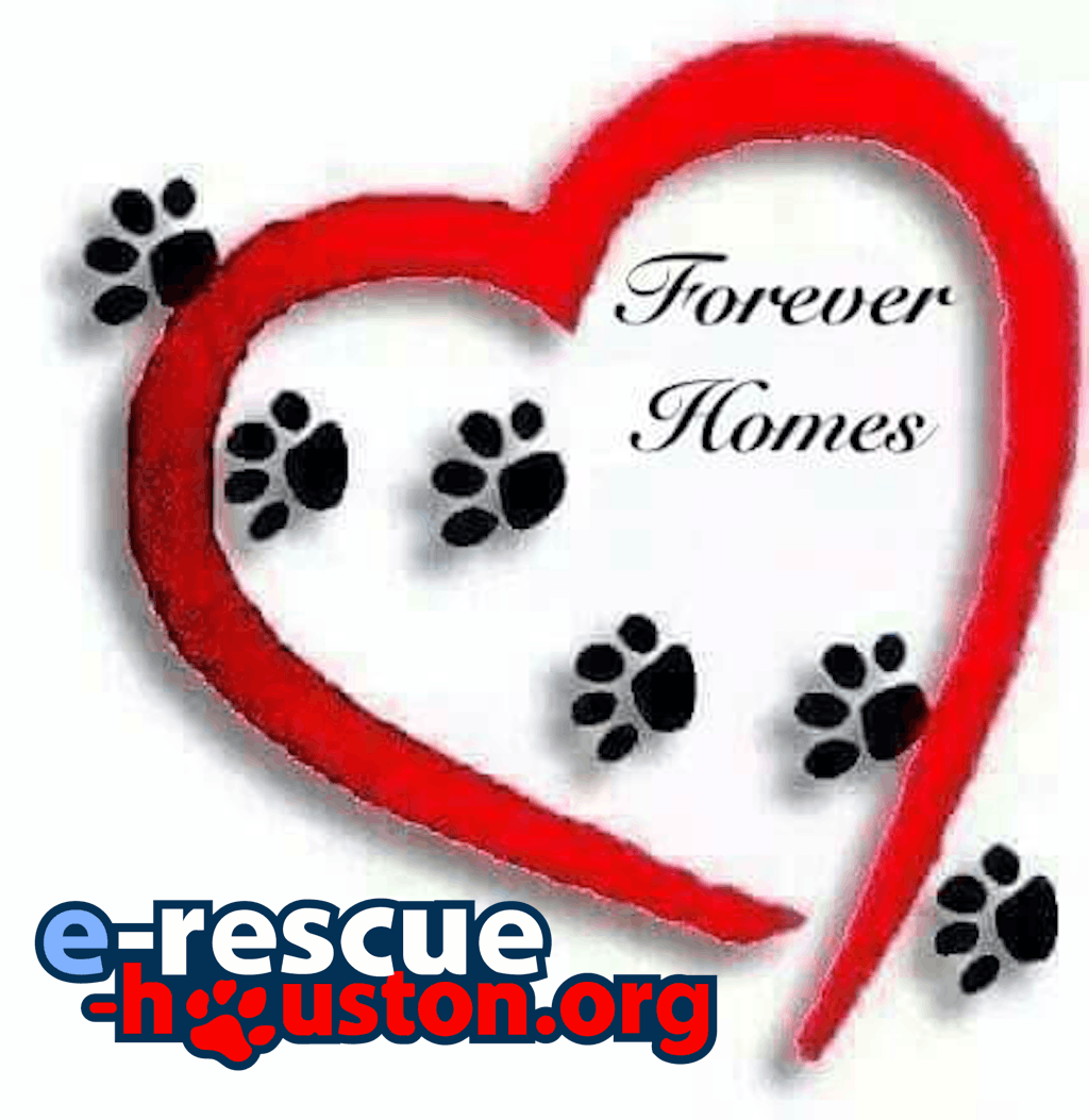 E Rescue Houston Inc.