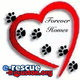 E Rescue Houston Inc.