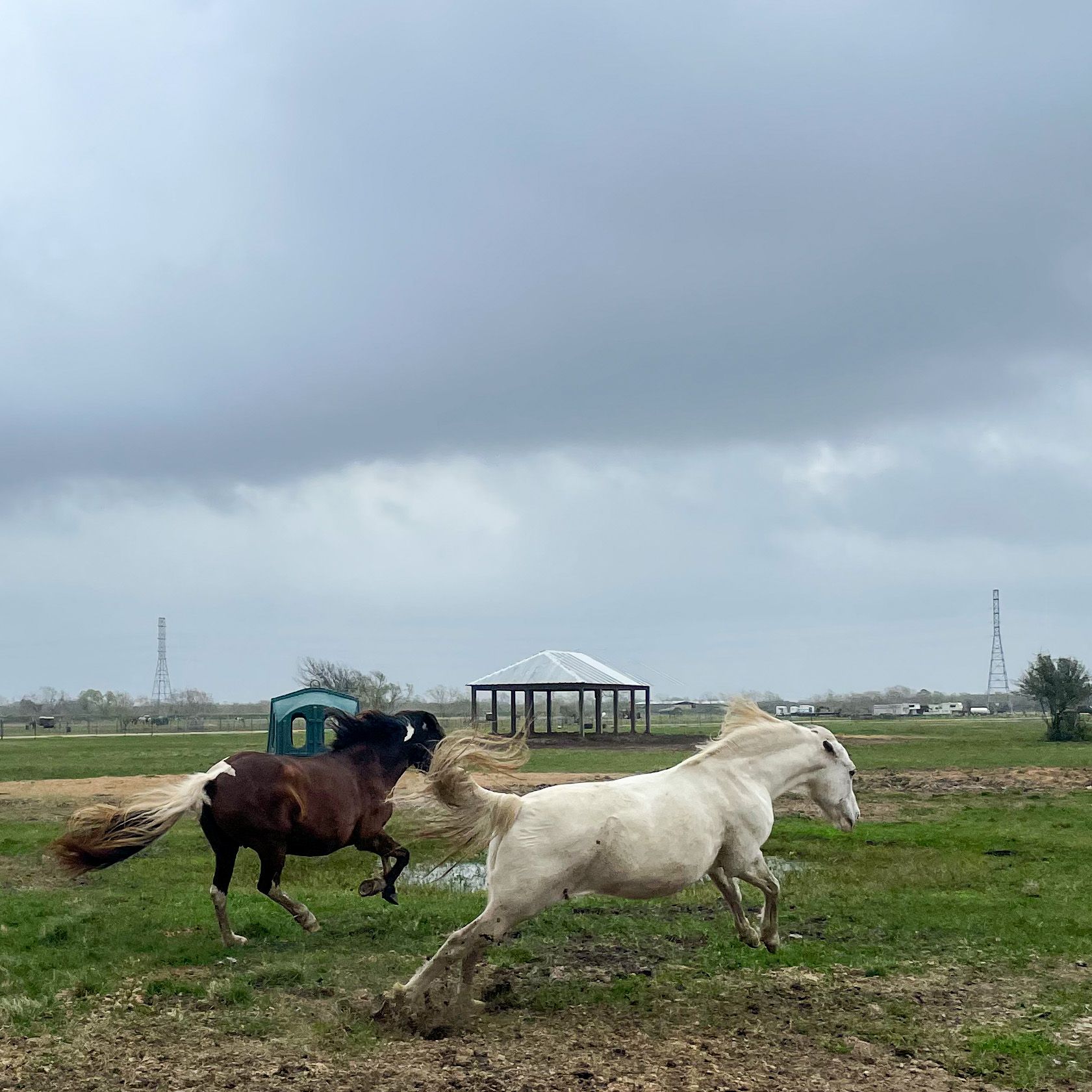 Habitat for Horses, Inc.