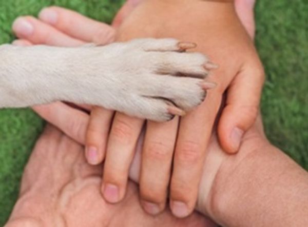 Stay Together Furever