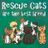 Fancy Feline Rescue of the South Inc