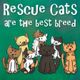 Fancy Feline Rescue of the South Inc