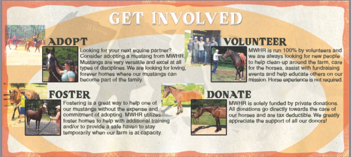 Mustang & Wild Horse Rescue of GA