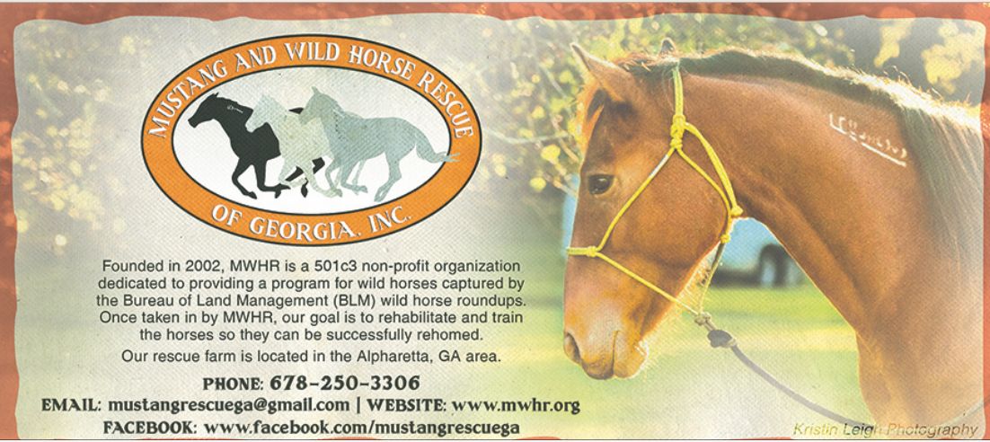 Mustang & Wild Horse Rescue of GA