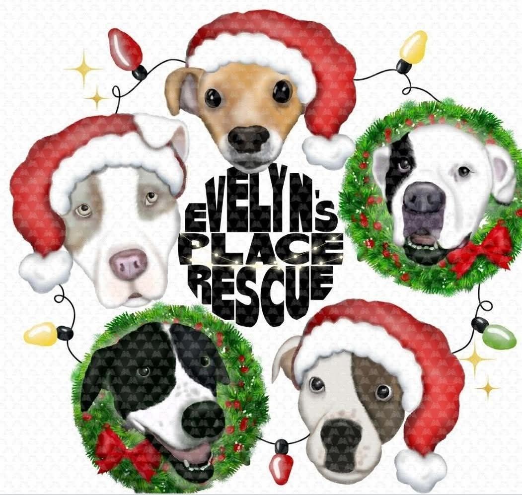 Evelyn’s Place Rescue
