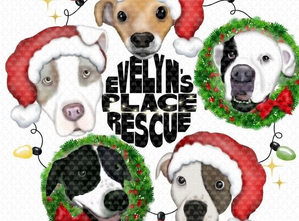 Evelyn’s Place Rescue