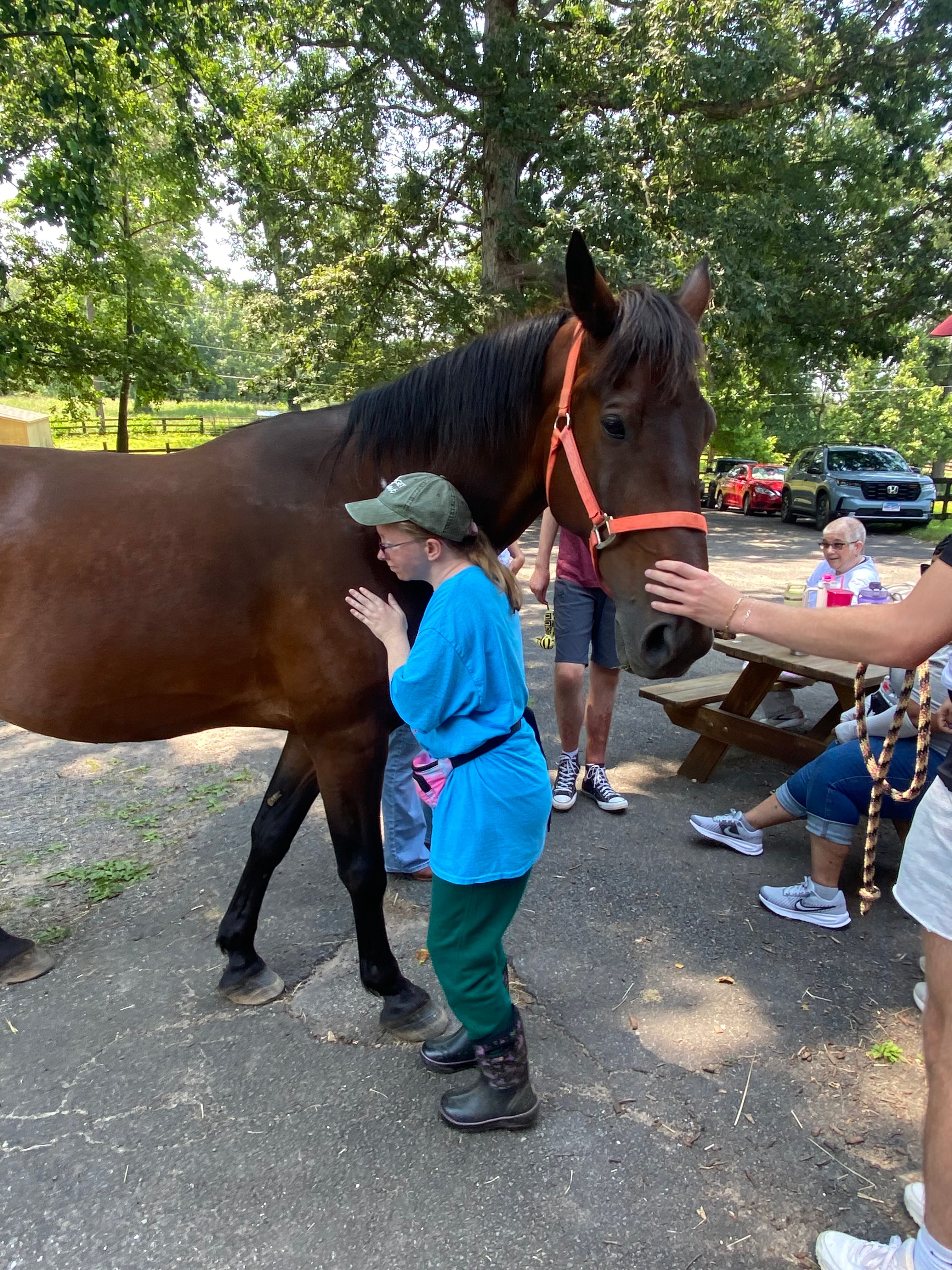 Health Happiness and Hooves Farms