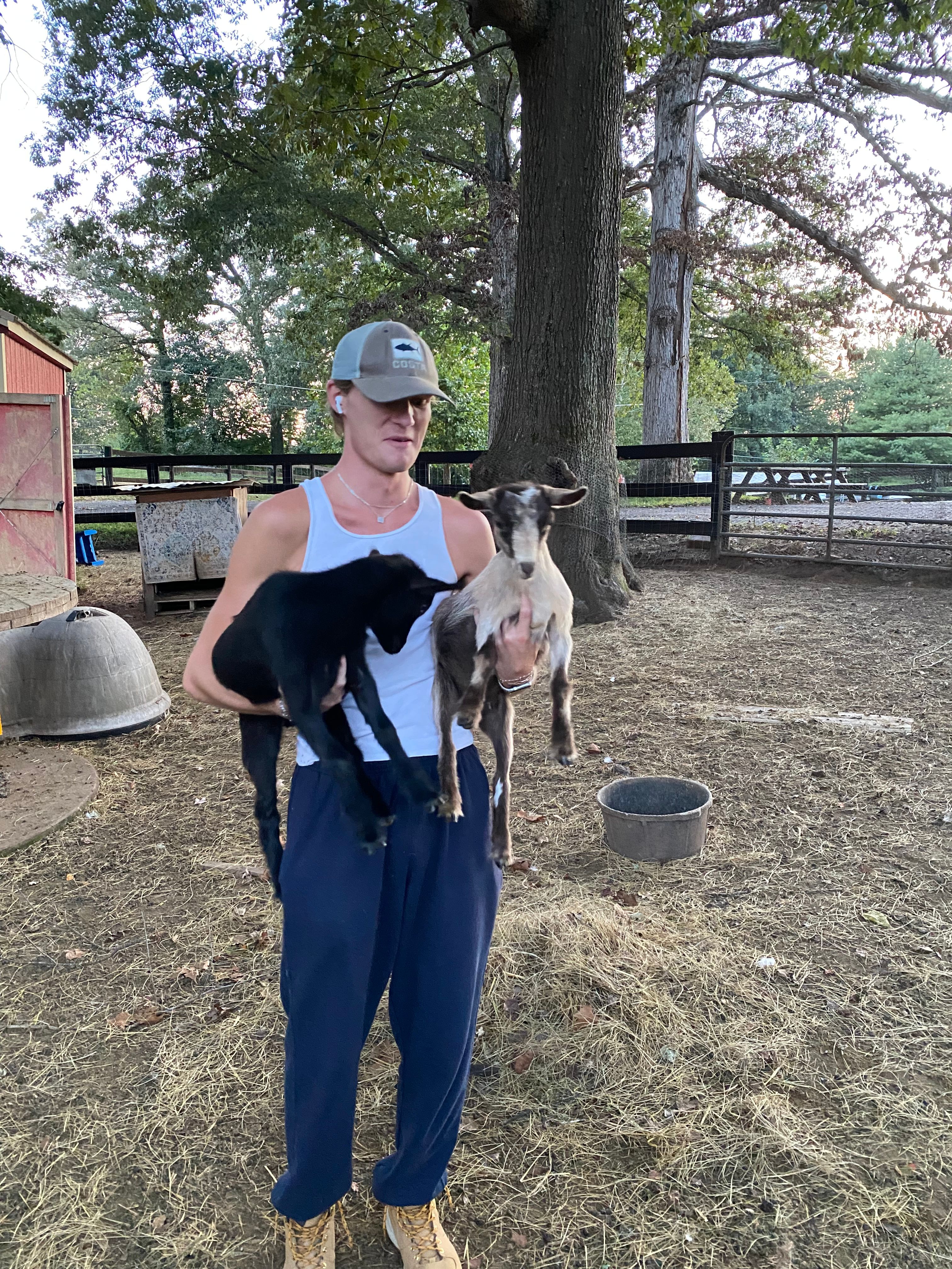 Health Happiness and Hooves Farms