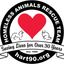 Homeless Animals Rescue Team