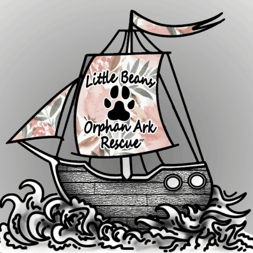 Little Beans Orphan Ark Rescue
