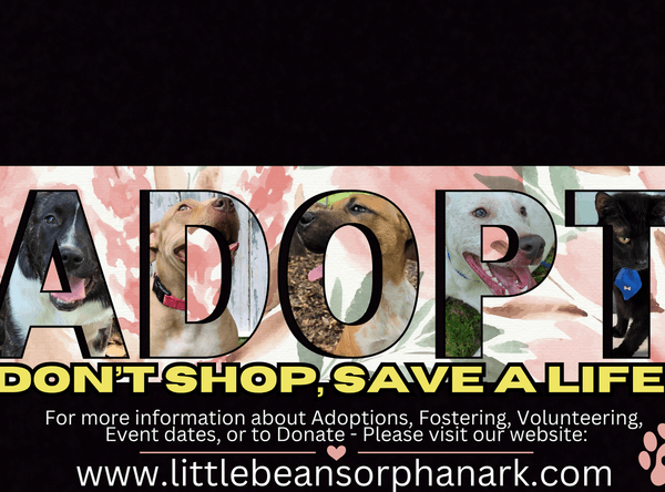 Little Beans Orphan Ark Rescue