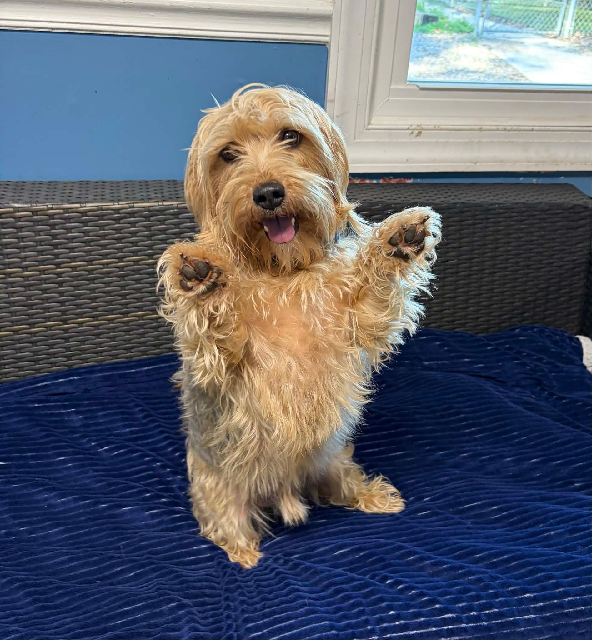 Humane Society of Calvert County