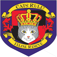 CATS RULE! Feline Rescue