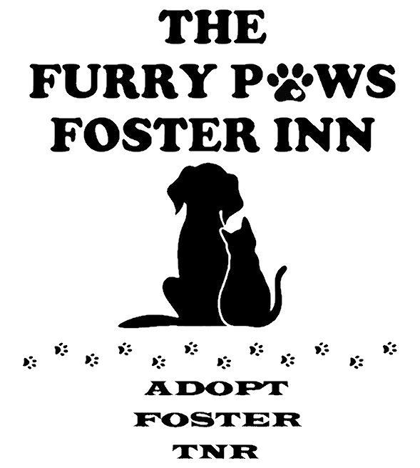 The Furry Paws Foster Inn