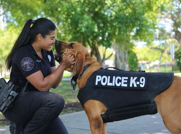 Vested Interest in K9s Inc