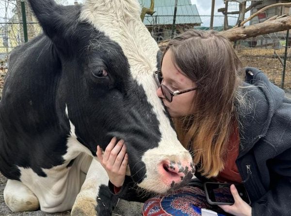 Pumpkin Wall Farm LLC