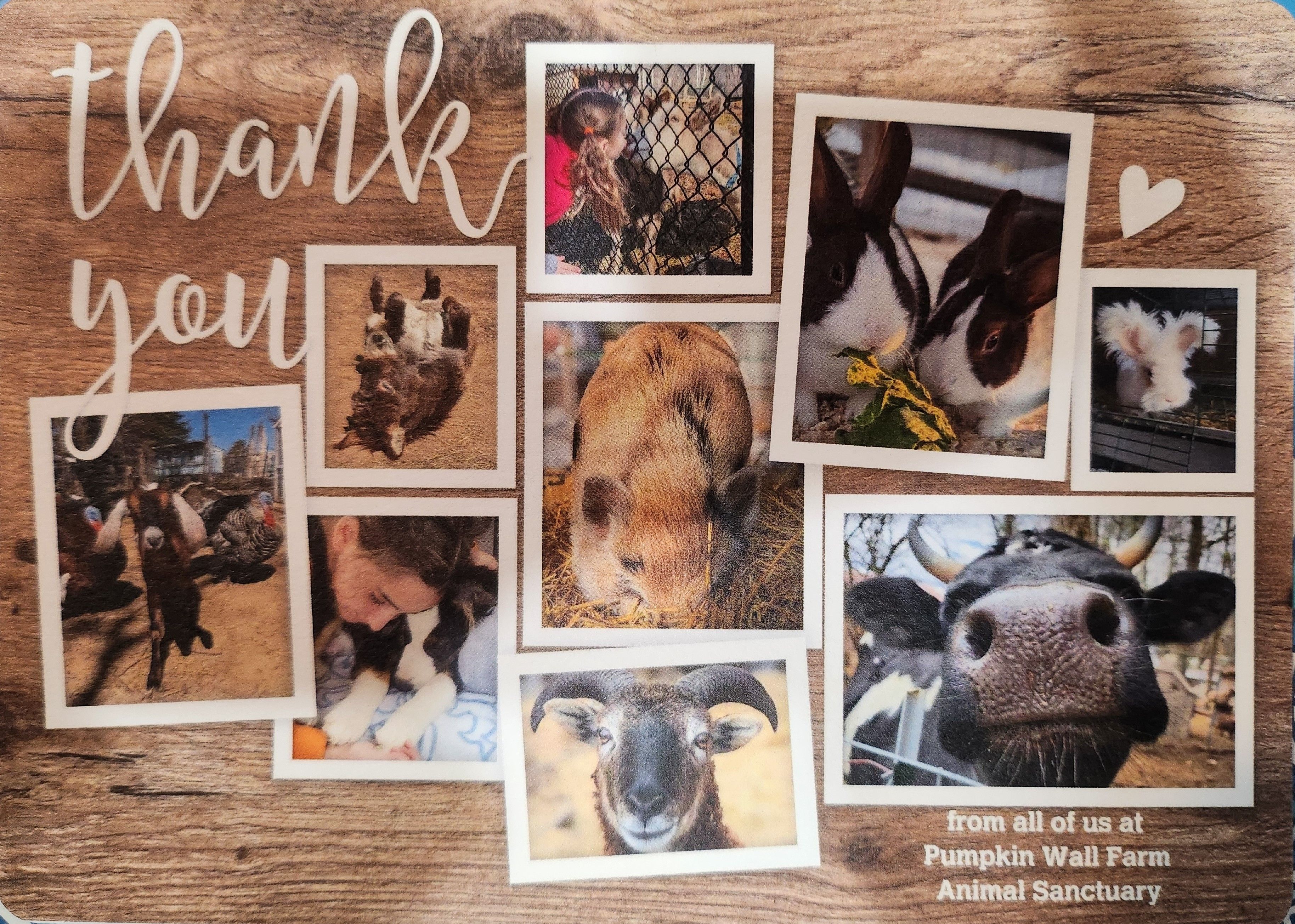 Pumpkin Wall Farm LLC