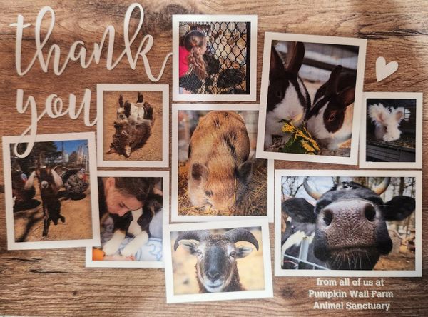 Pumpkin Wall Farm LLC