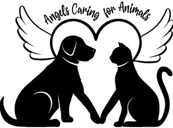 Angels Caring for Animals