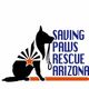 Saving Paws Rescue AZ
