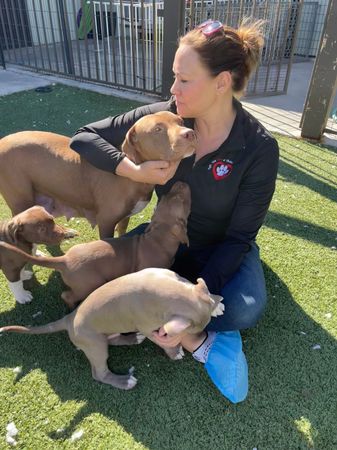 Fur the Love of Paws