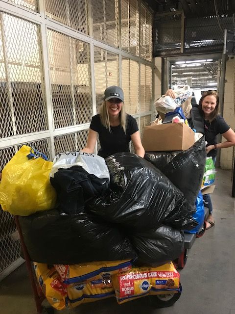 Fur the Love of Paws