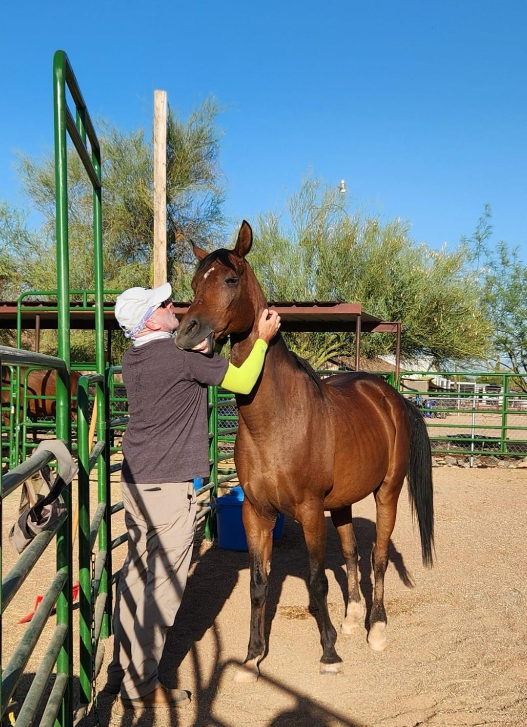 Good Shepherd Horse Rescue