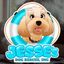 Jesse’s Dog Rescue