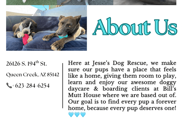 Jesse’s Dog Rescue