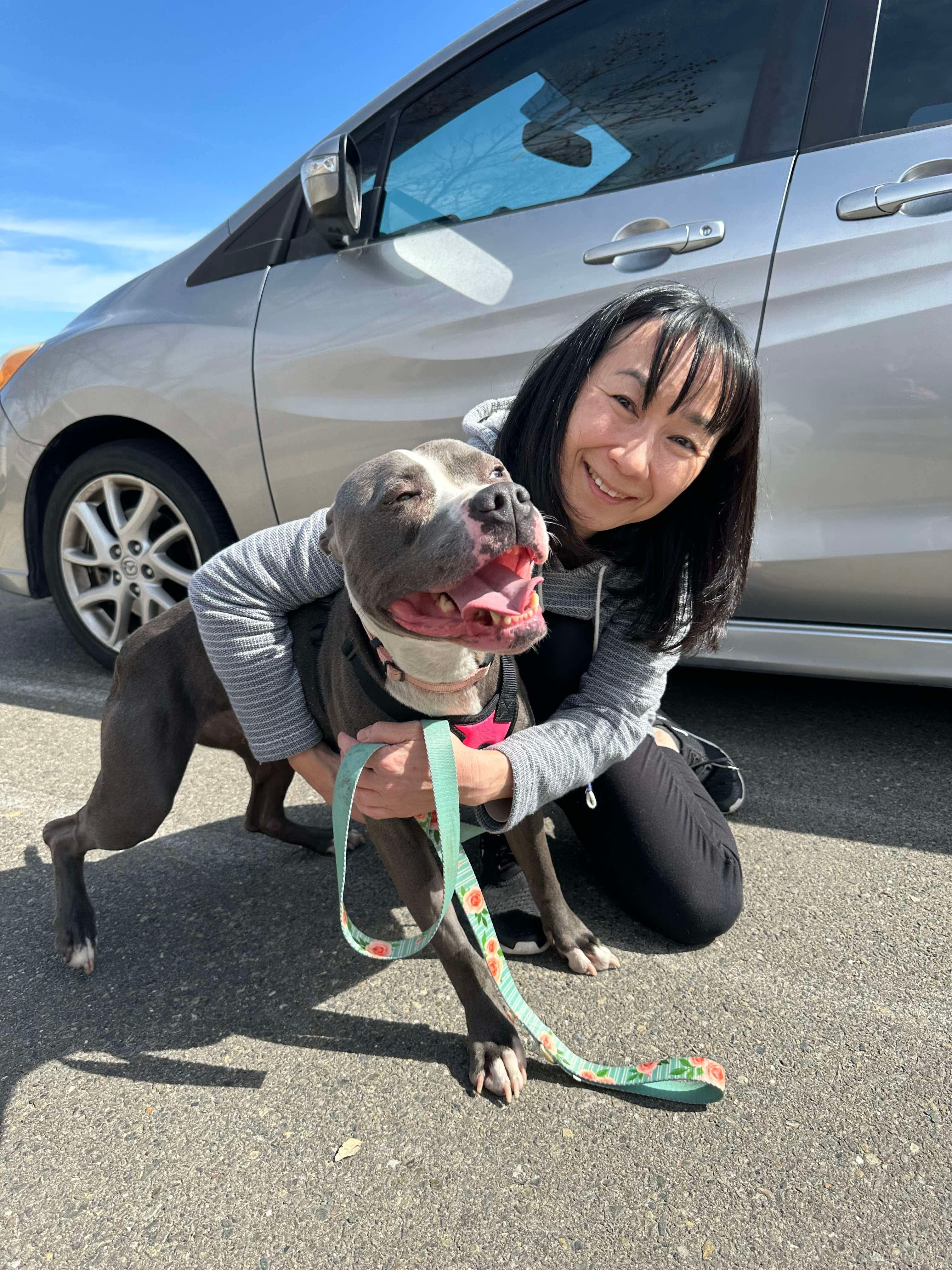 Underdog Animal Rescue