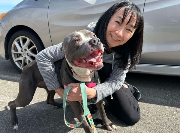 Underdog Animal Rescue