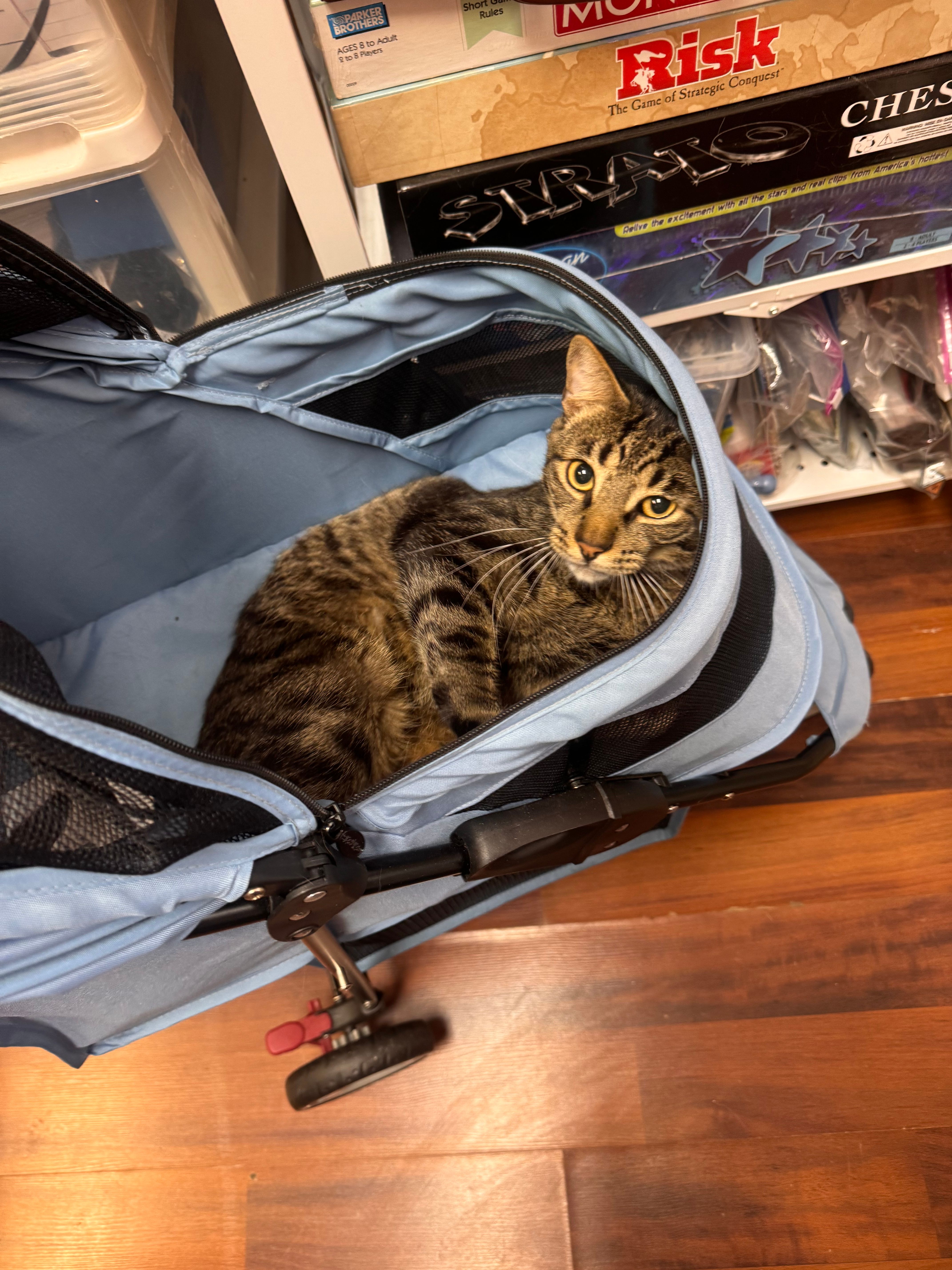 Paws n’ Claws Senior Living Inc