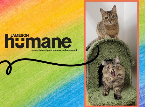 Jameson Humane