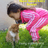 Meow Haven Kitty Rescue Inc