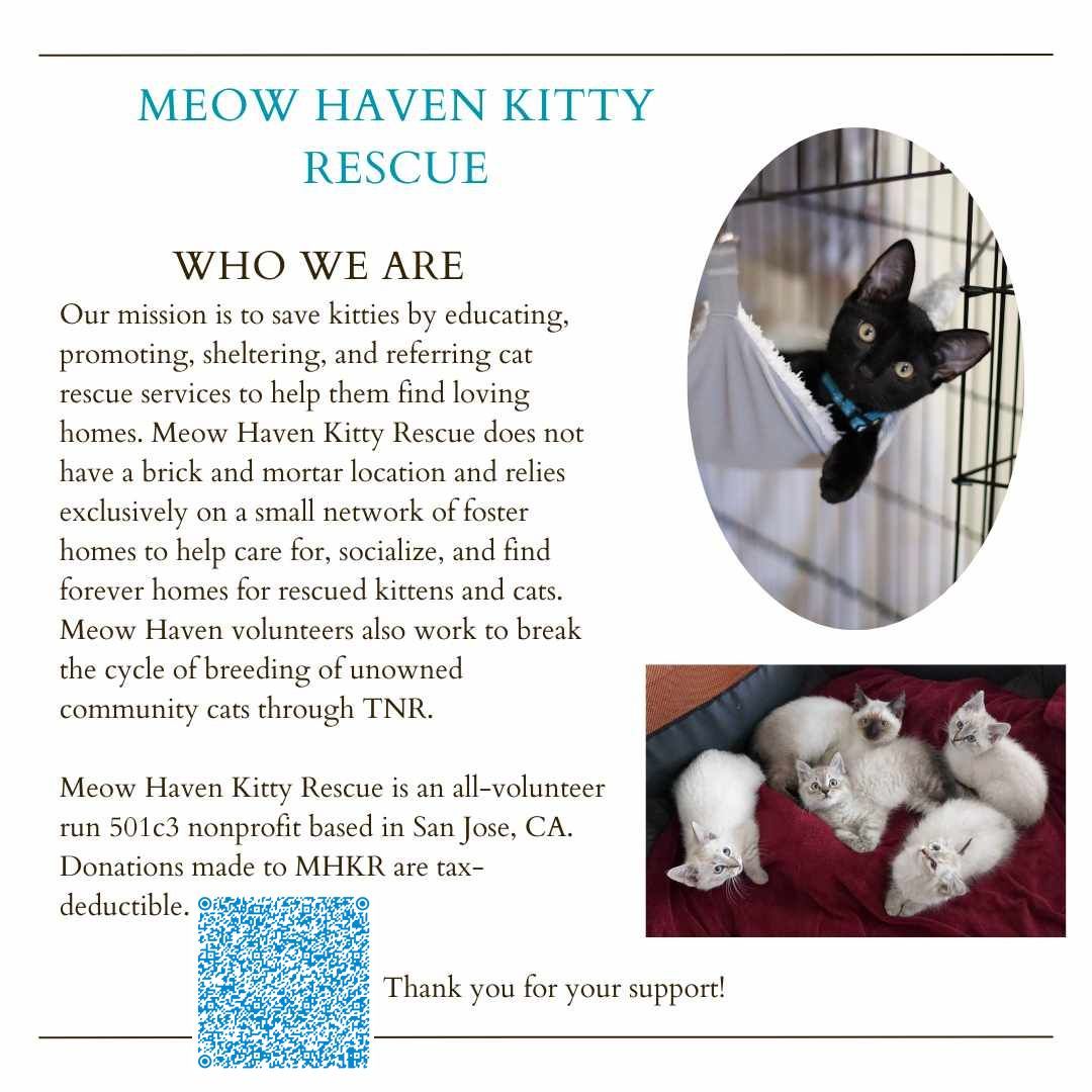 Meow Haven Kitty Rescue Inc
