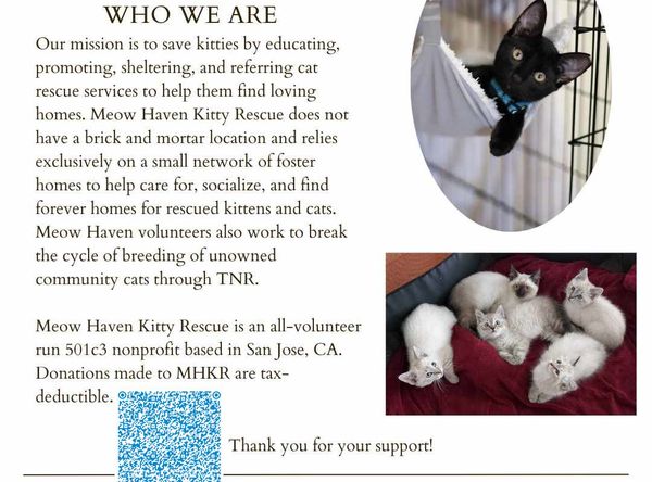 Meow Haven Kitty Rescue Inc