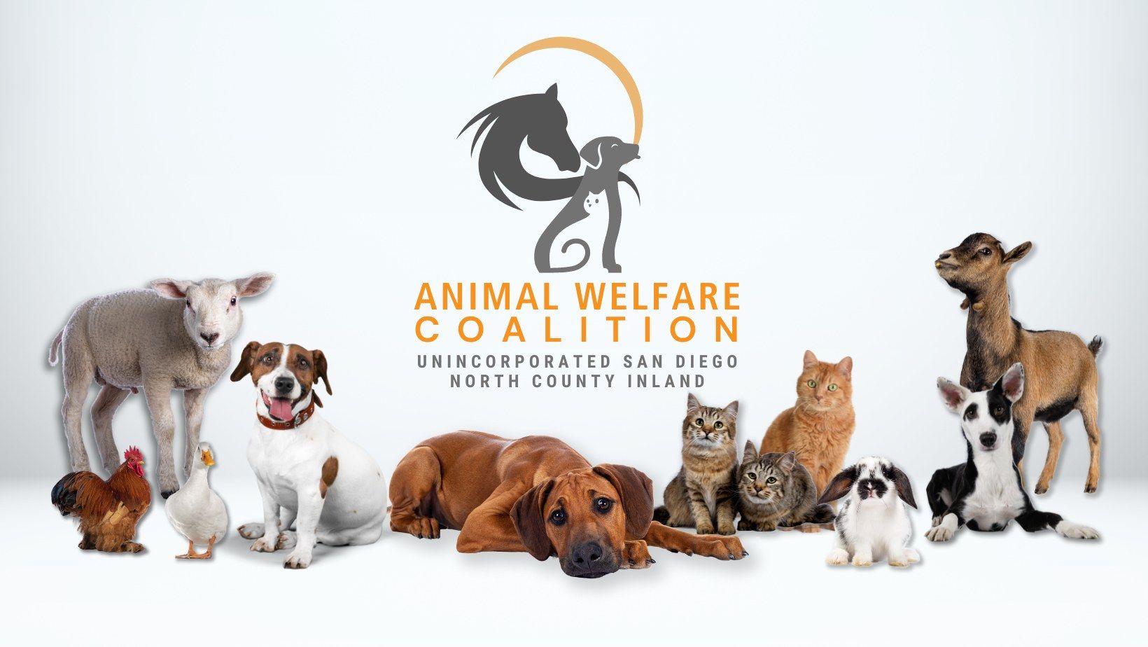 Animal Welfare Coalition