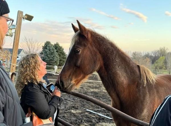 Art, Heart and Hoofbeats - Equine Rescue and Sanctuary