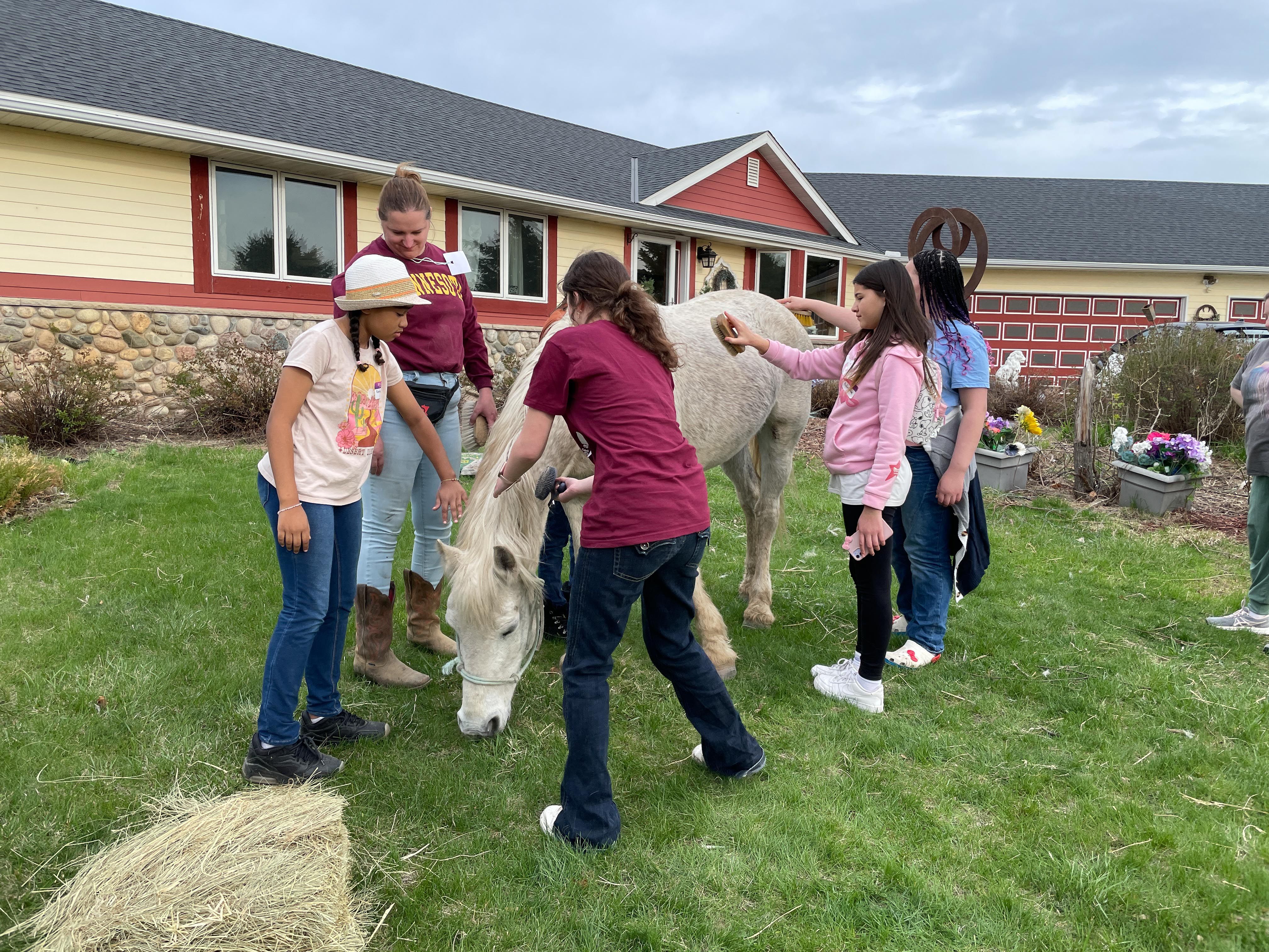 Art, Heart and Hoofbeats - Equine Rescue and Sanctuary