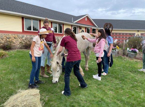 Art, Heart and Hoofbeats - Equine Rescue and Sanctuary