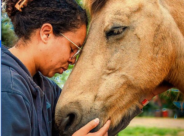 Art, Heart and Hoofbeats - Equine Rescue and Sanctuary