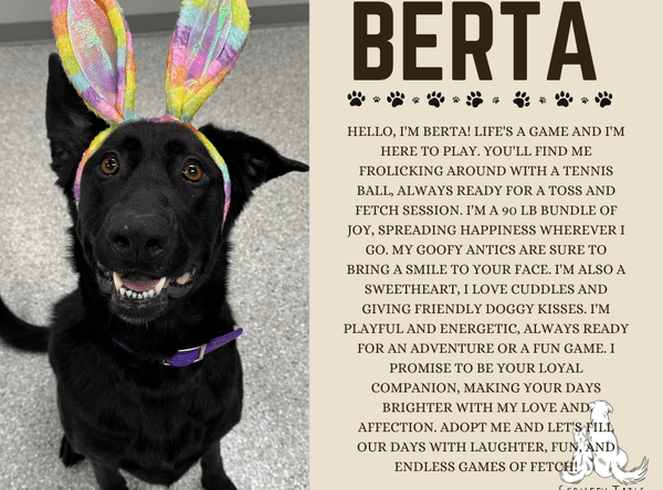 Humane Society of Polk County Inc