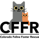 Colorado Feline Foster Rescue