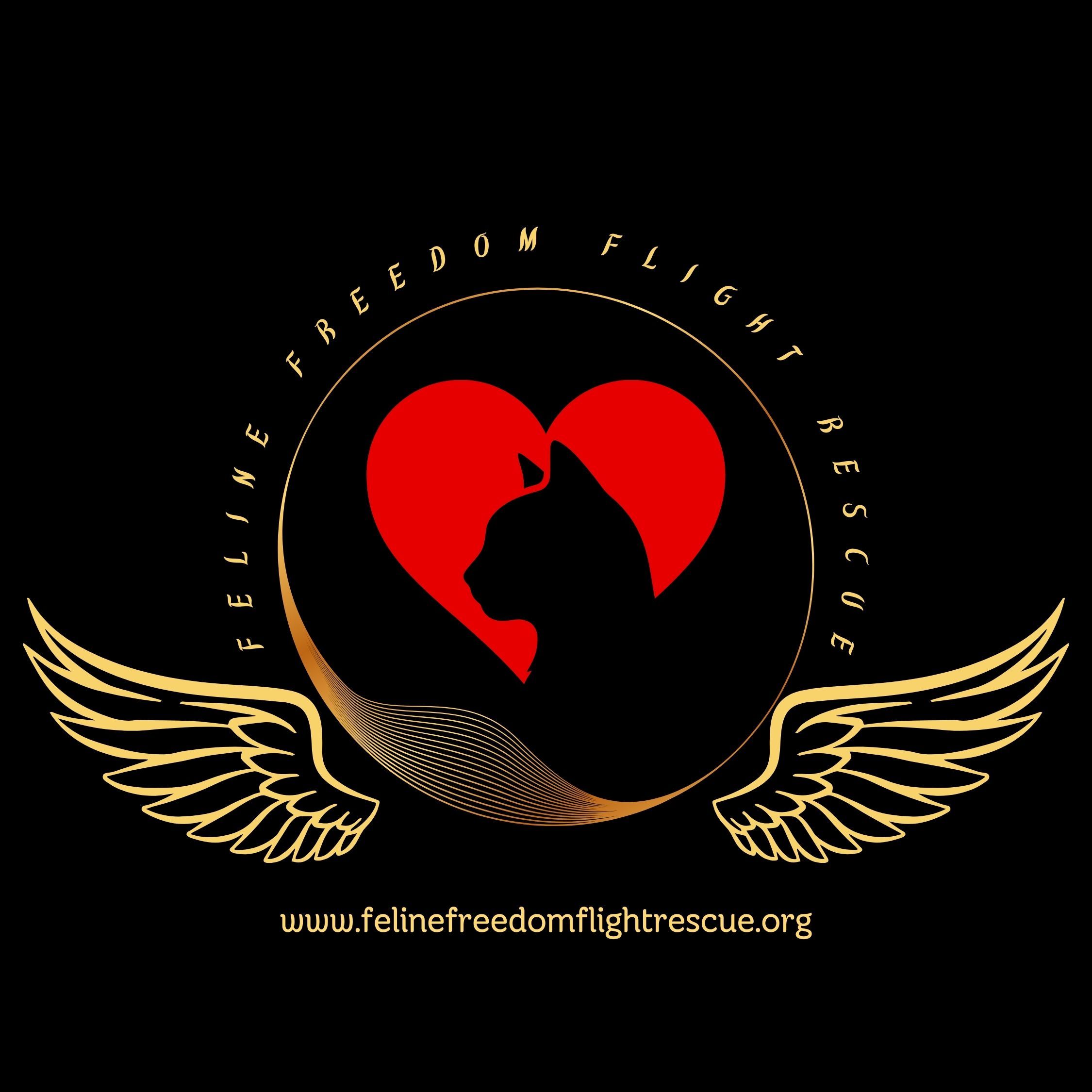 Feline Freedom Flight Rescue