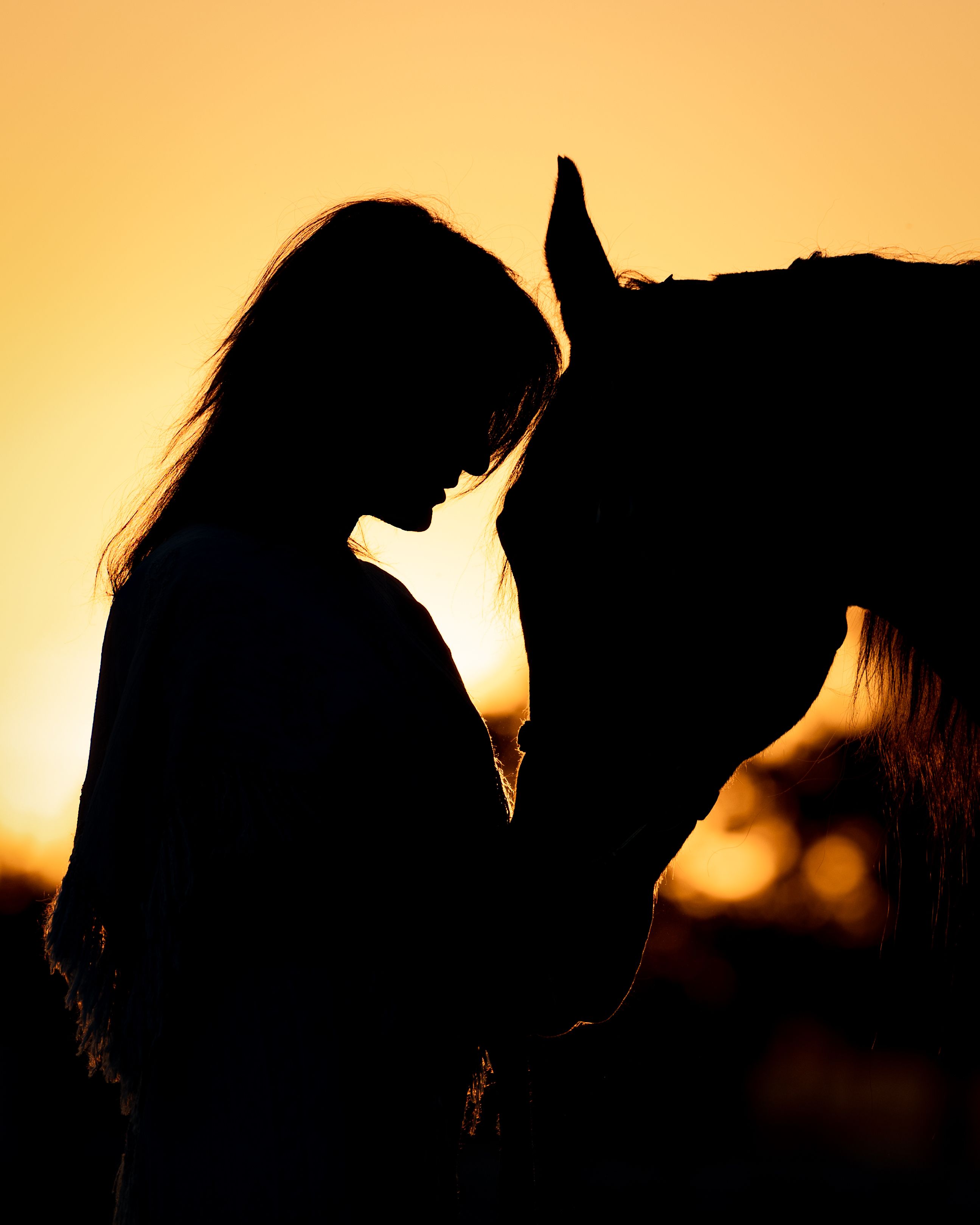 Pattie's Ranch dba Save the Animals Today