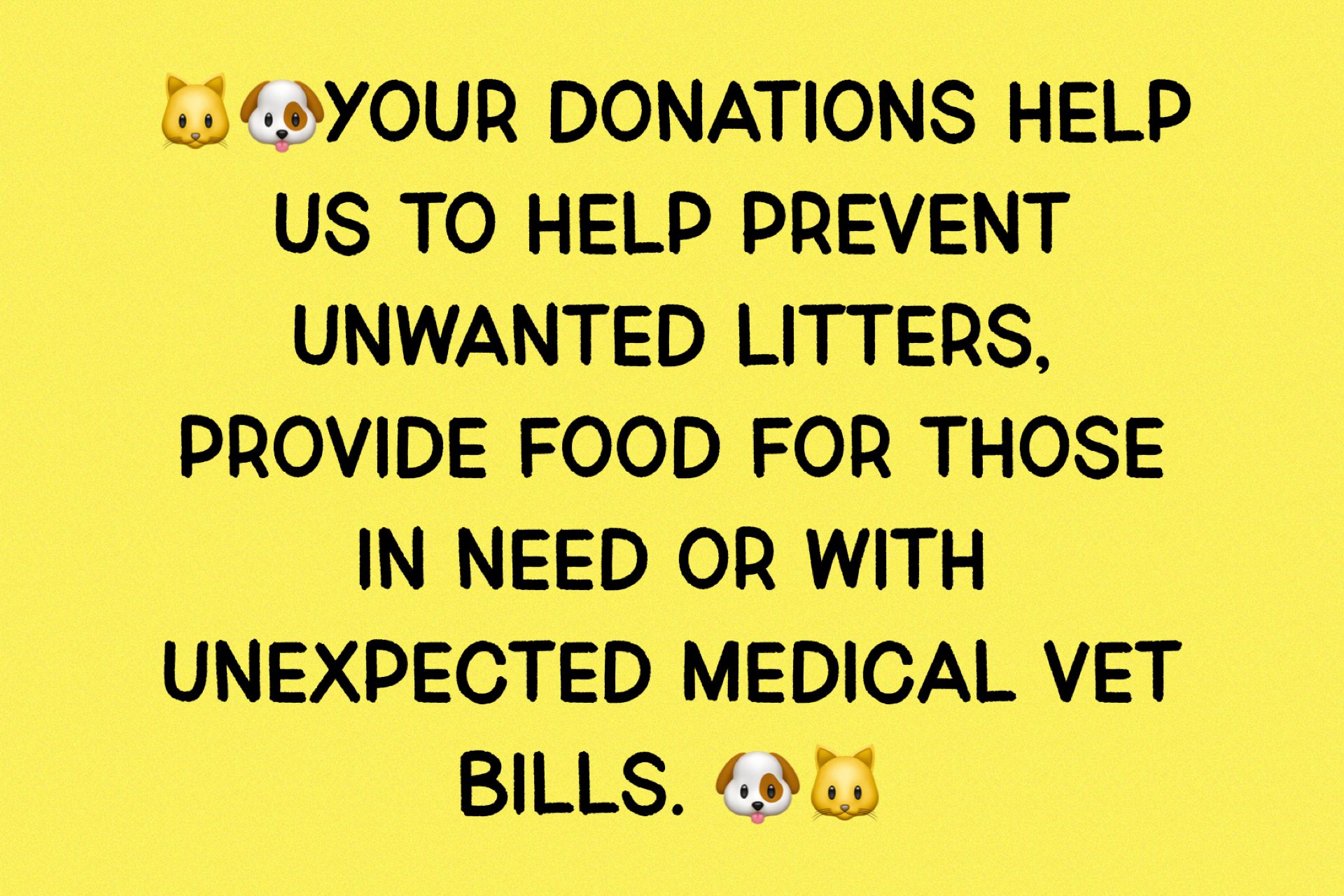 Last Call K-9 Resources/Streams in the Desert Foundation Inc