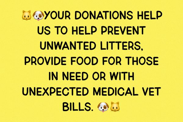 Last Call K-9 Resources/Streams in the Desert Foundation Inc