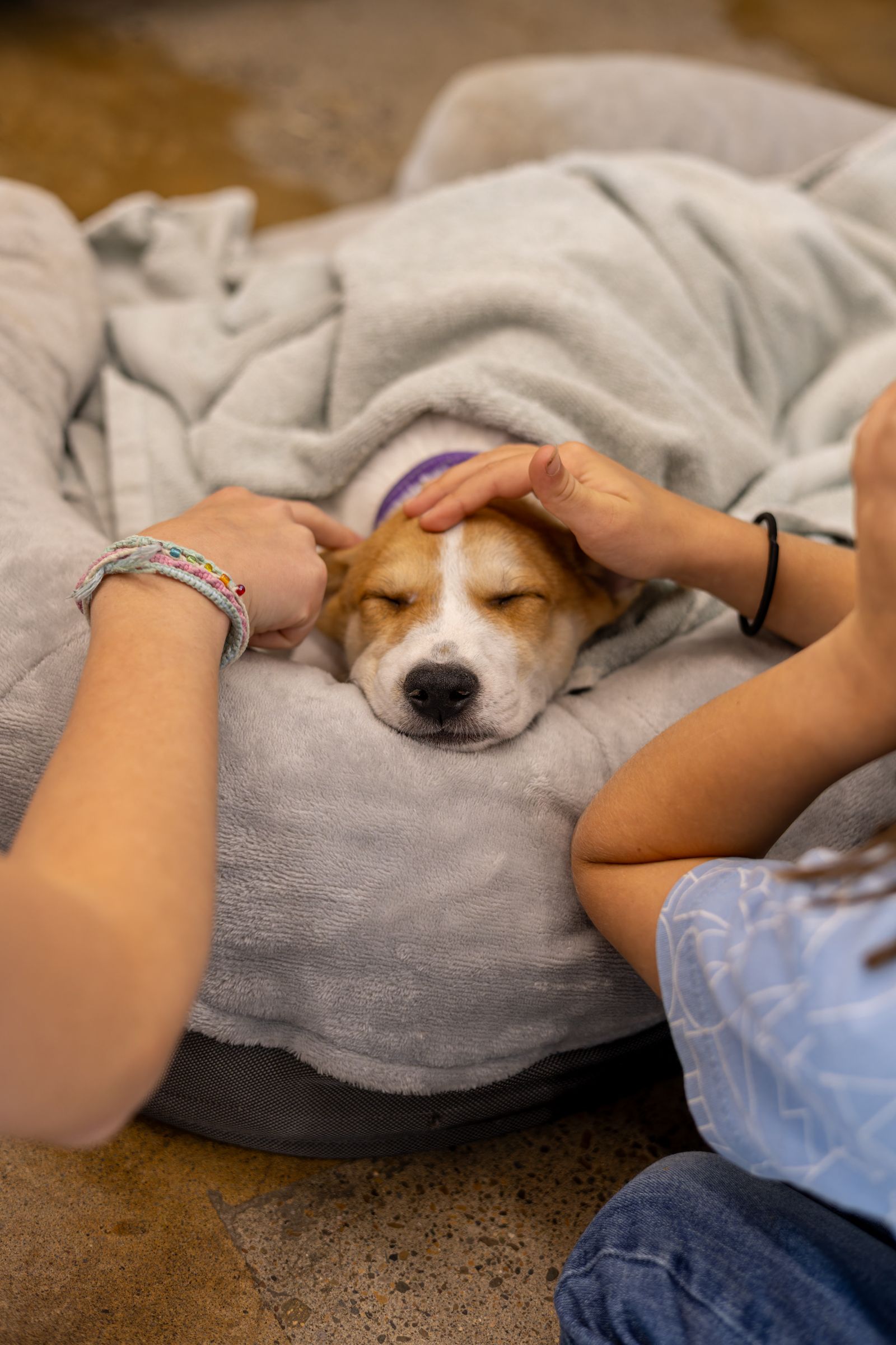 One Tail at a Time - PDX